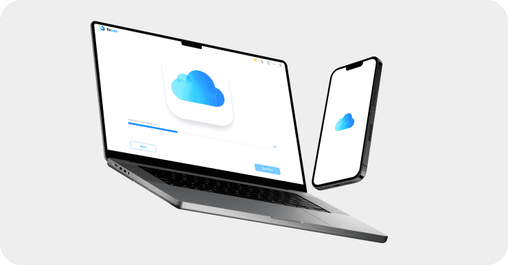 Recover From iCloud